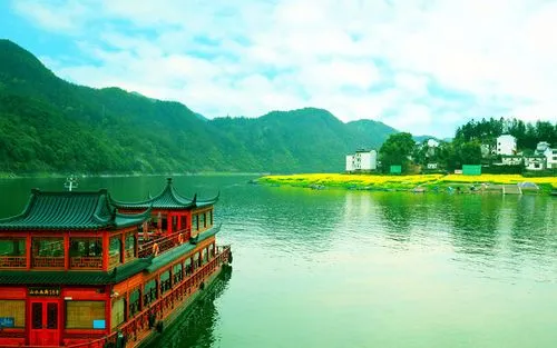 创新网络化